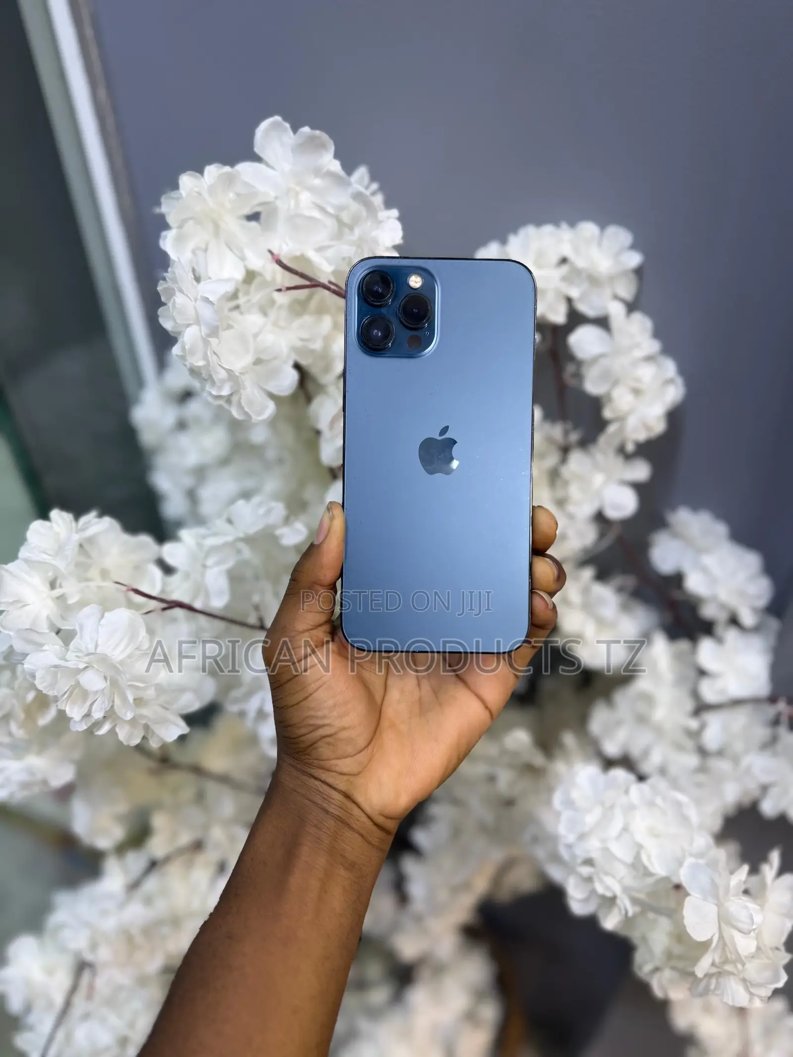 Apple iPhone 12 Pro Max 256 GB Blue