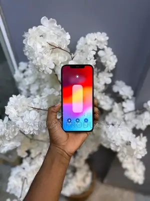 Apple iPhone 12 Pro Max 256 GB Blue