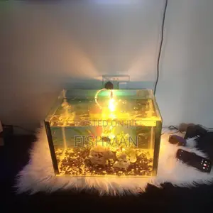 Samaki Wa Mapambo