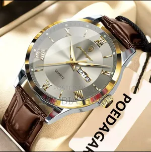 Poedagar 978l Luxury Watch Genuine Leather Brown and Gray Case