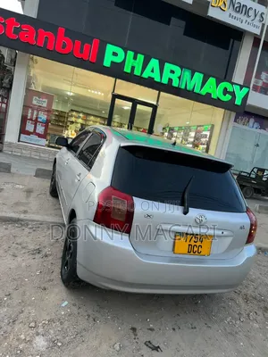 Toyota Allex 2004 Silver