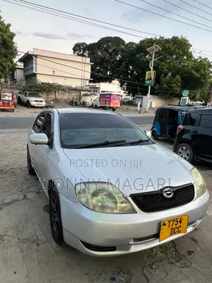 Toyota Allex 2004 Silver
