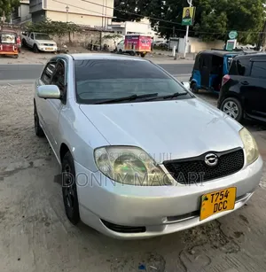 Toyota Allex 2004 Silver