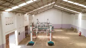 Maize Flour Factory for Sale in Mbinga Ruvuma