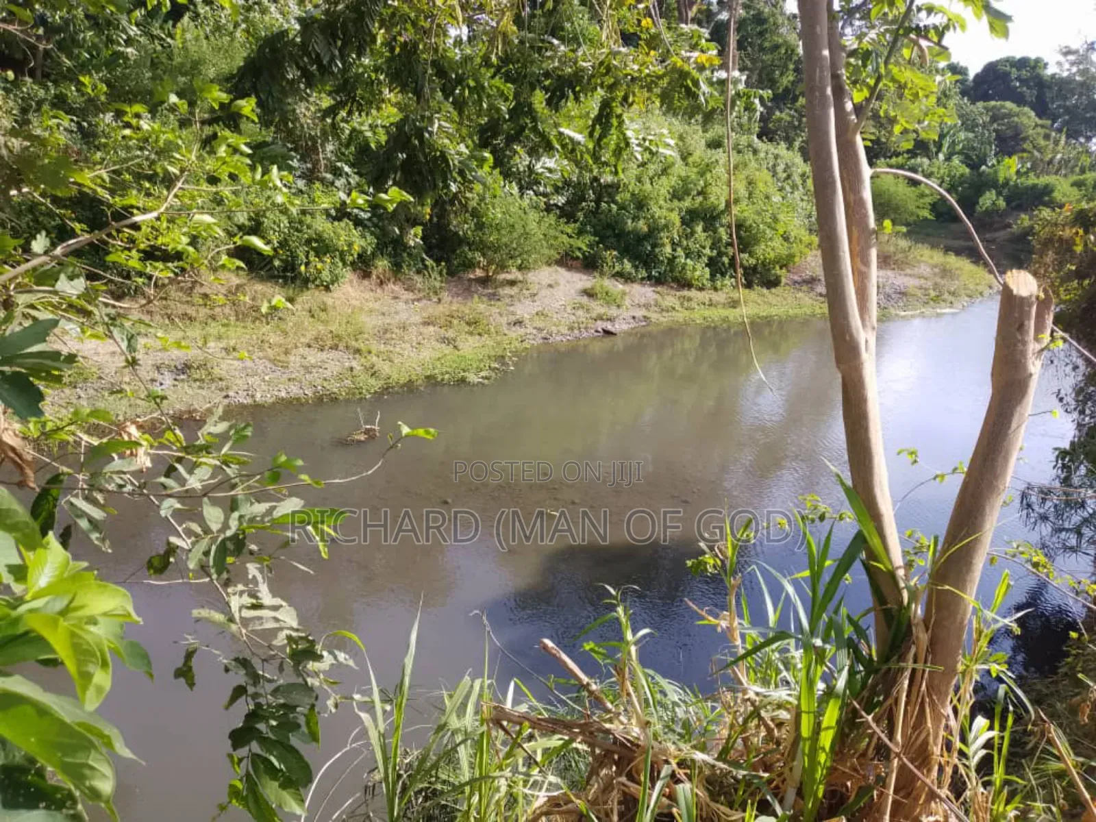Six Acres Shamba in Valeska-Near Dolly Estate
