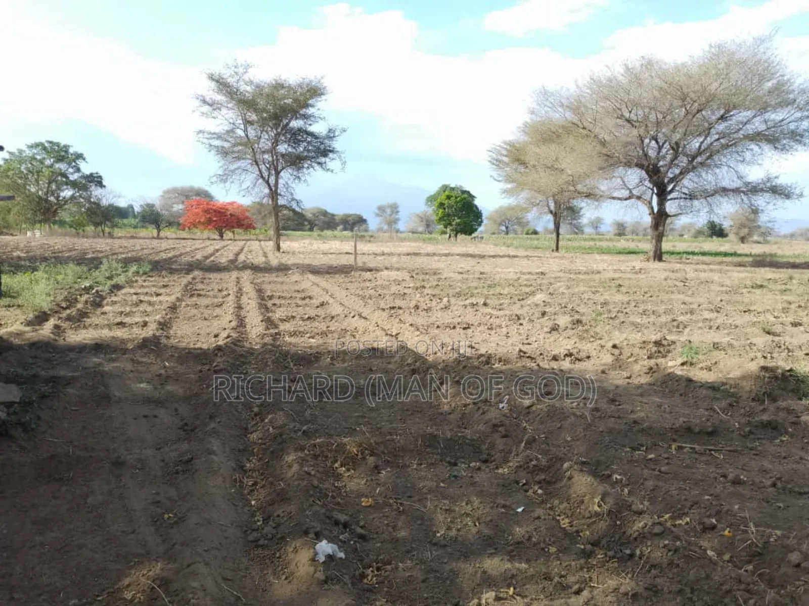 Six Acres Shamba in Valeska-Near Dolly Estate
