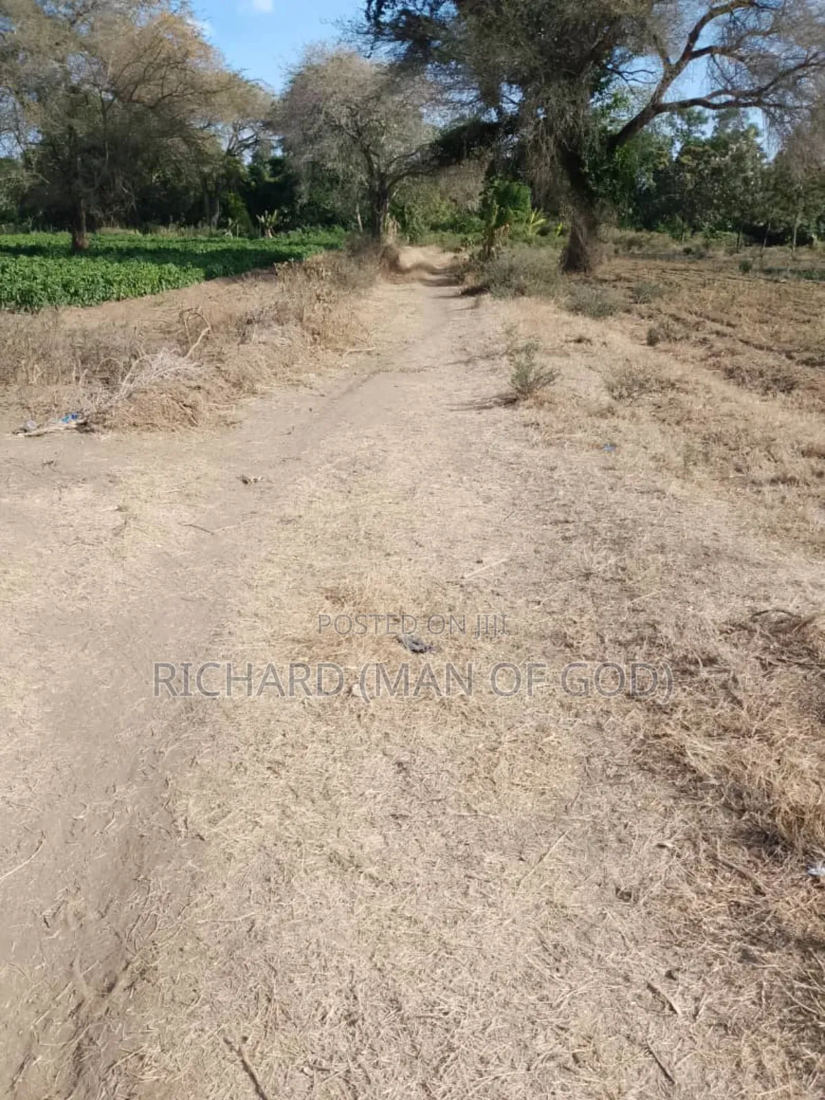 Six Acres Shamba in Valeska-Near Dolly Estate