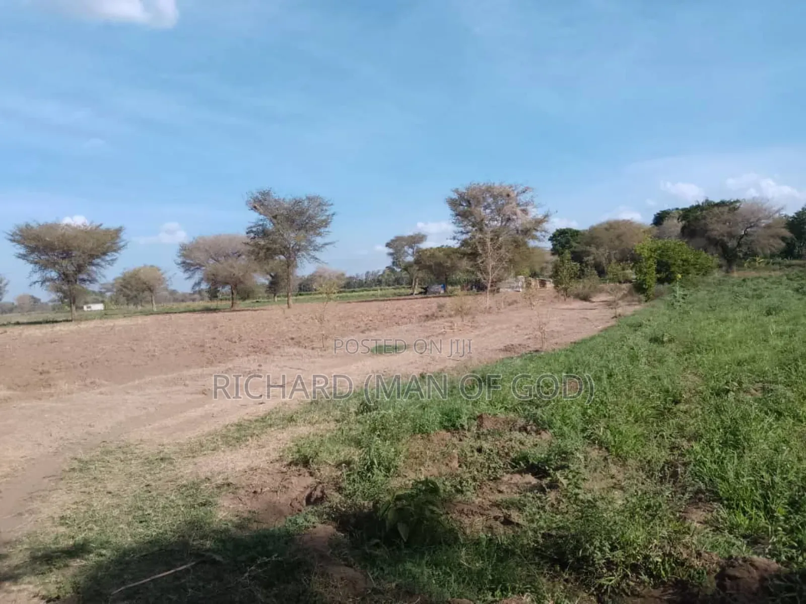 Six Acres Shamba in Valeska-Near Dolly Estate