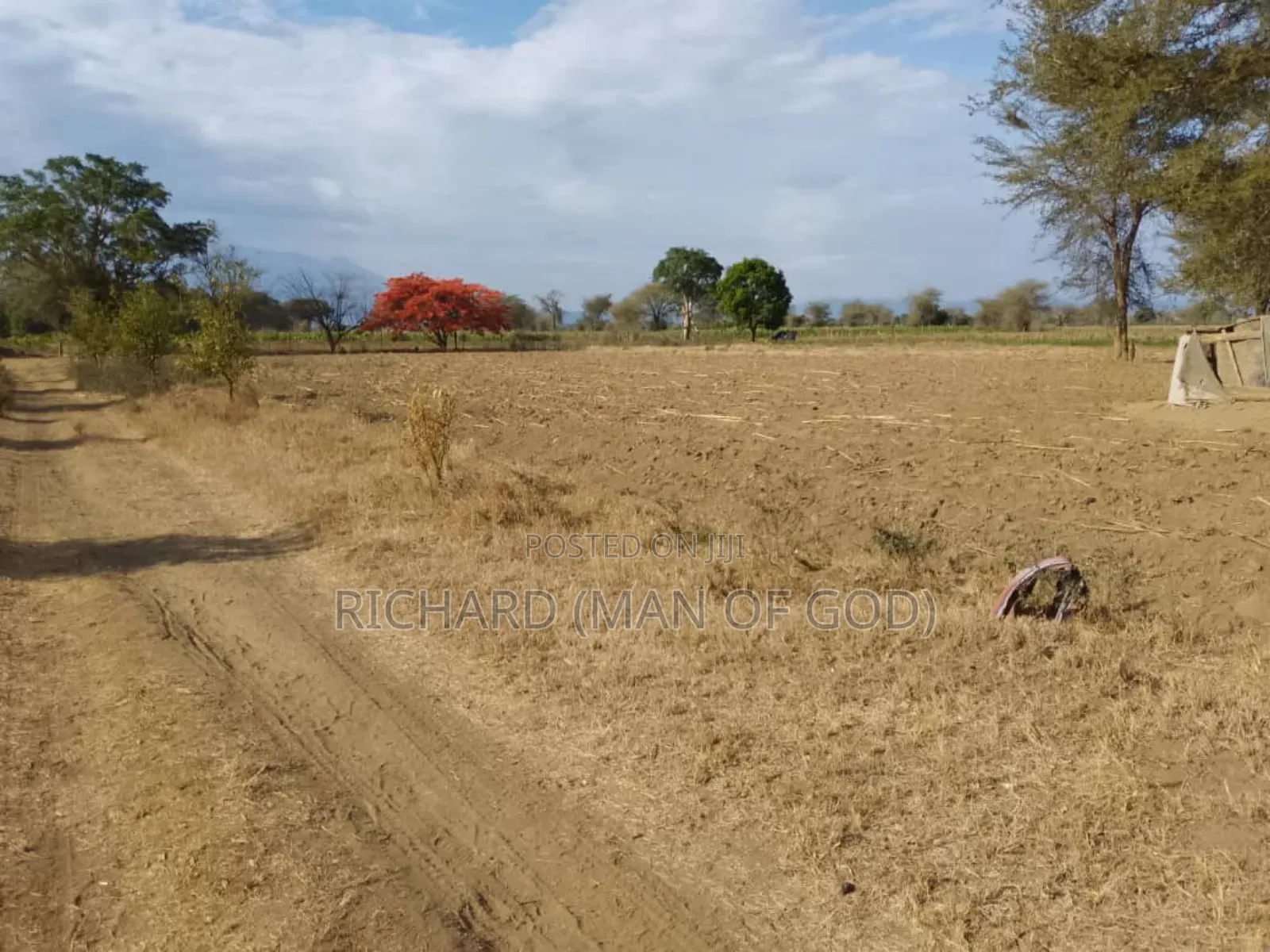 Six Acres Shamba in Valeska-Near Dolly Estate
