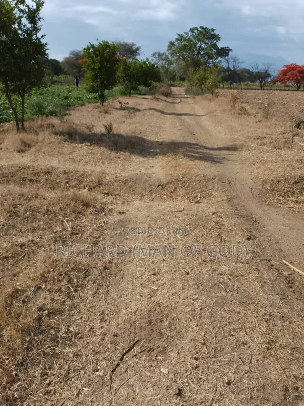 Six Acres Shamba in Valeska-Near Dolly Estate