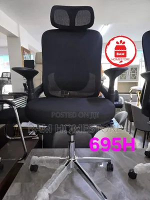 Executive Office Chair (Model 695h)