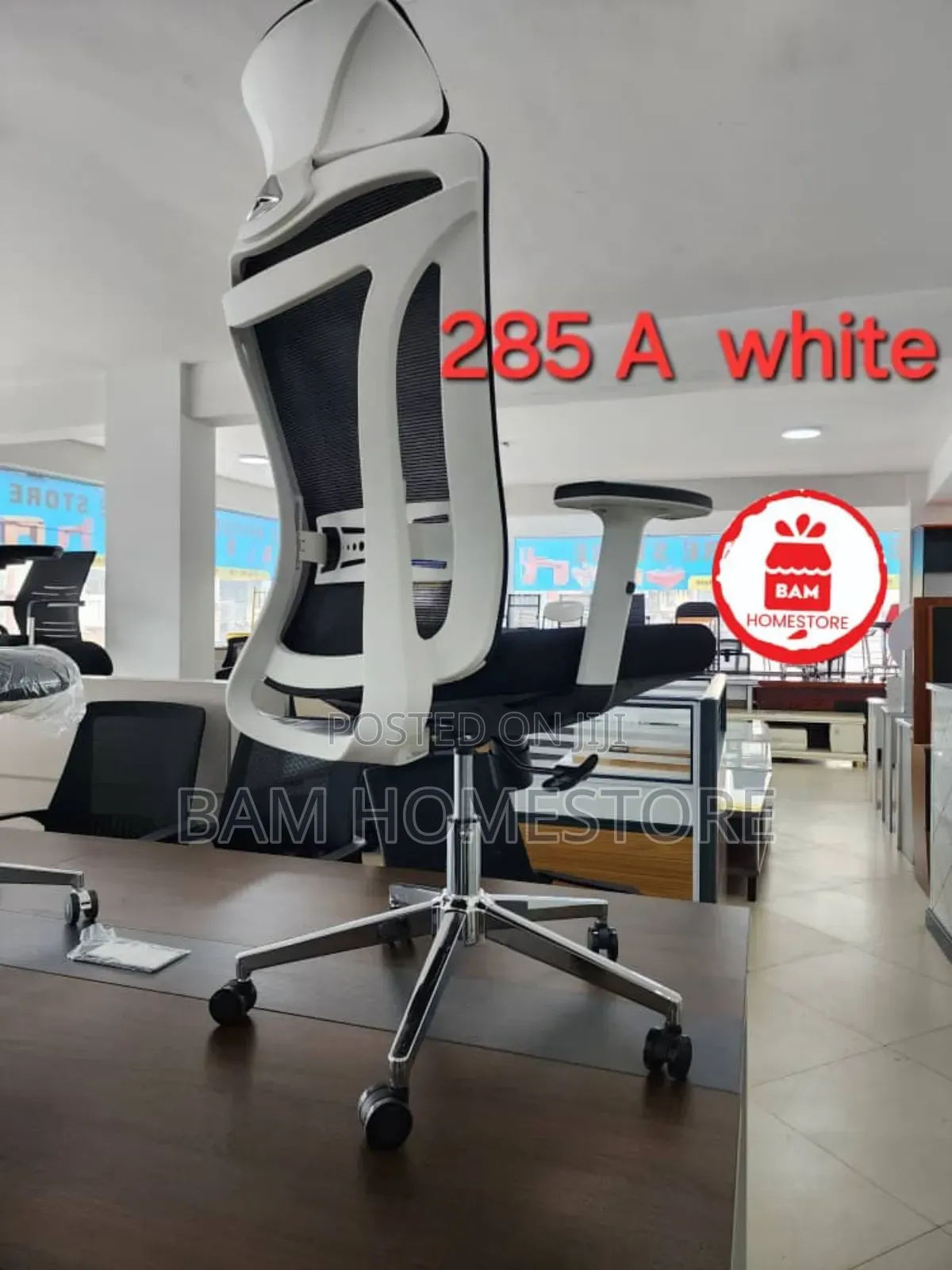 Luxury Ergonomic Office Chair (White Accents)
