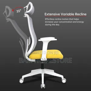 Executive Red/Grey Office Chair