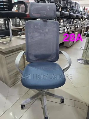Executive High-Back Mesh Chair (Blue Seat)