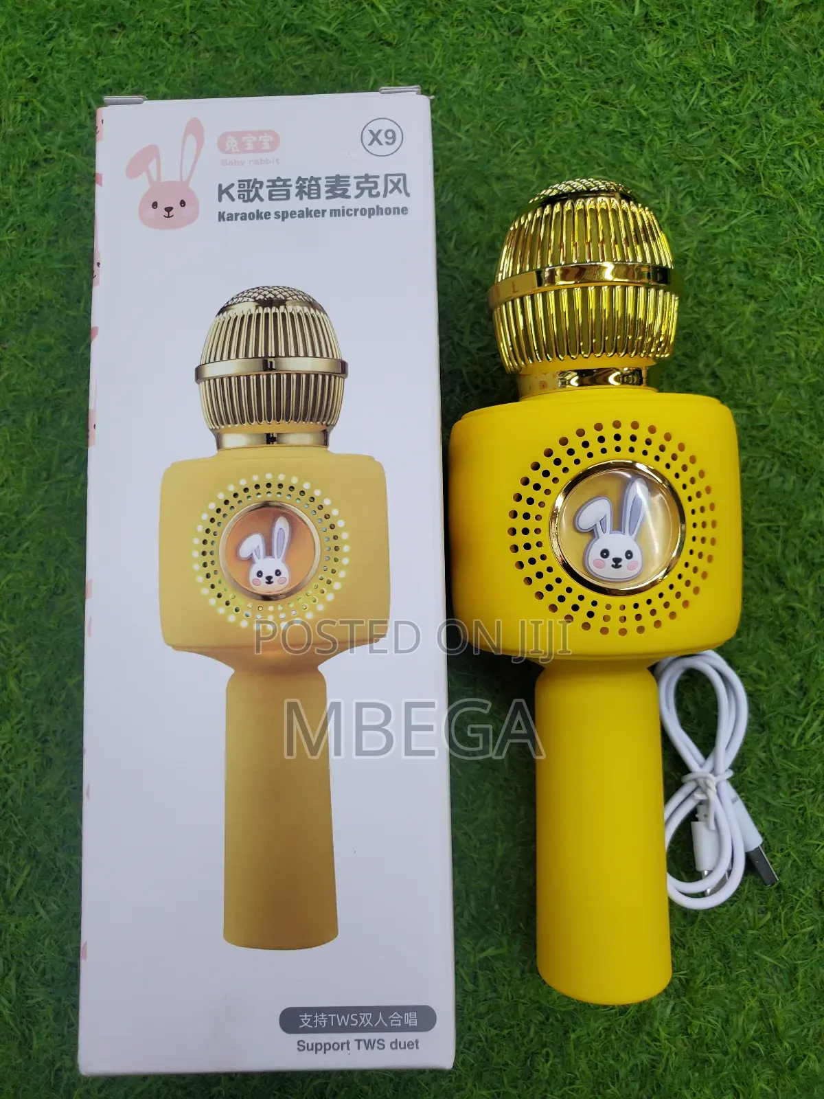 Karoek Speaker Microphone