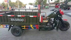 Bajaj Avenger 200 2025 Green