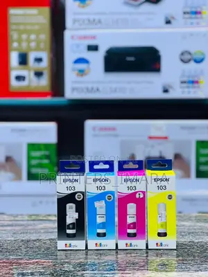 Epson Genuine 103 Ink!
