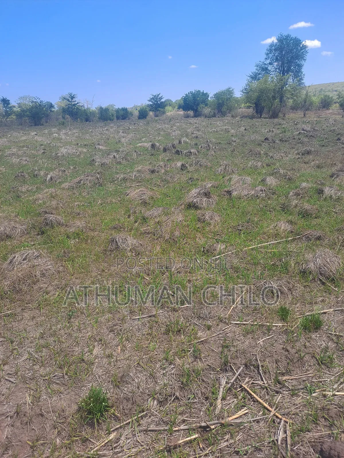 Shamba Linauzwa