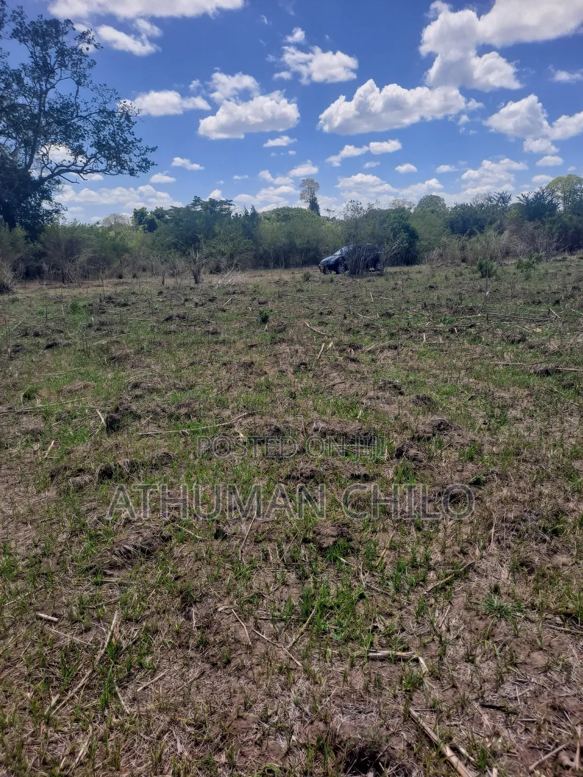 Shamba Linauzwa
