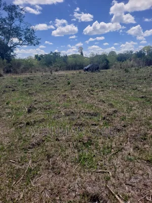 Shamba Linauzwa
