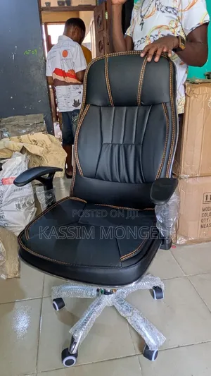 Ergonomic Chairs