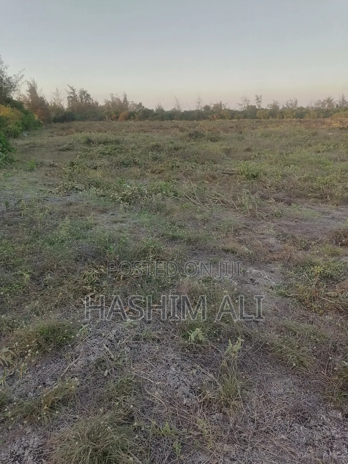 Land for Sale in Bwejuu Zanzibar