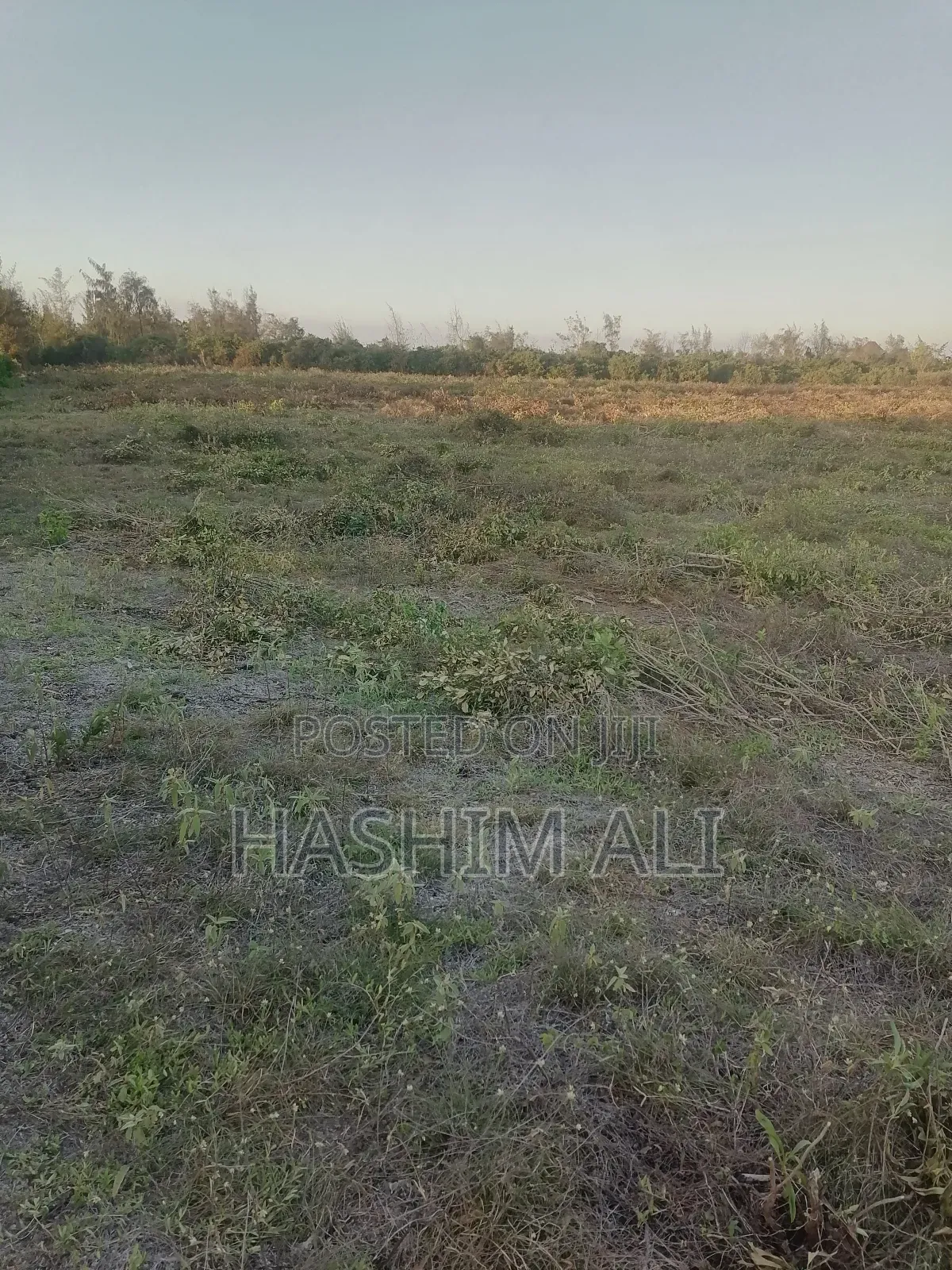 Land for Sale in Bwejuu Zanzibar