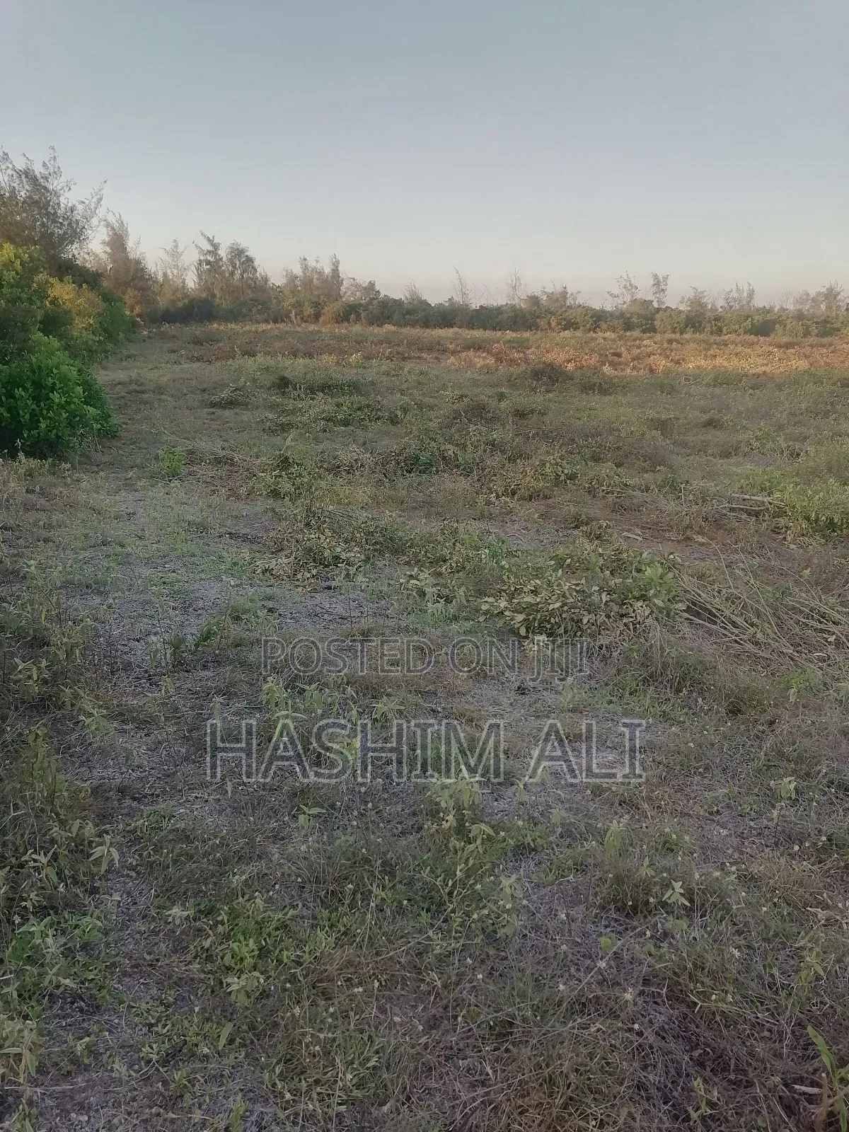 Land for Sale in Bwejuu Zanzibar