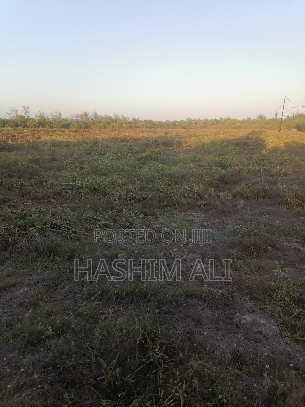 Land for Sale in Bwejuu Zanzibar