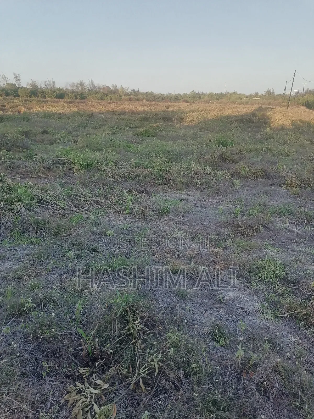 Land for Sale in Bwejuu Zanzibar