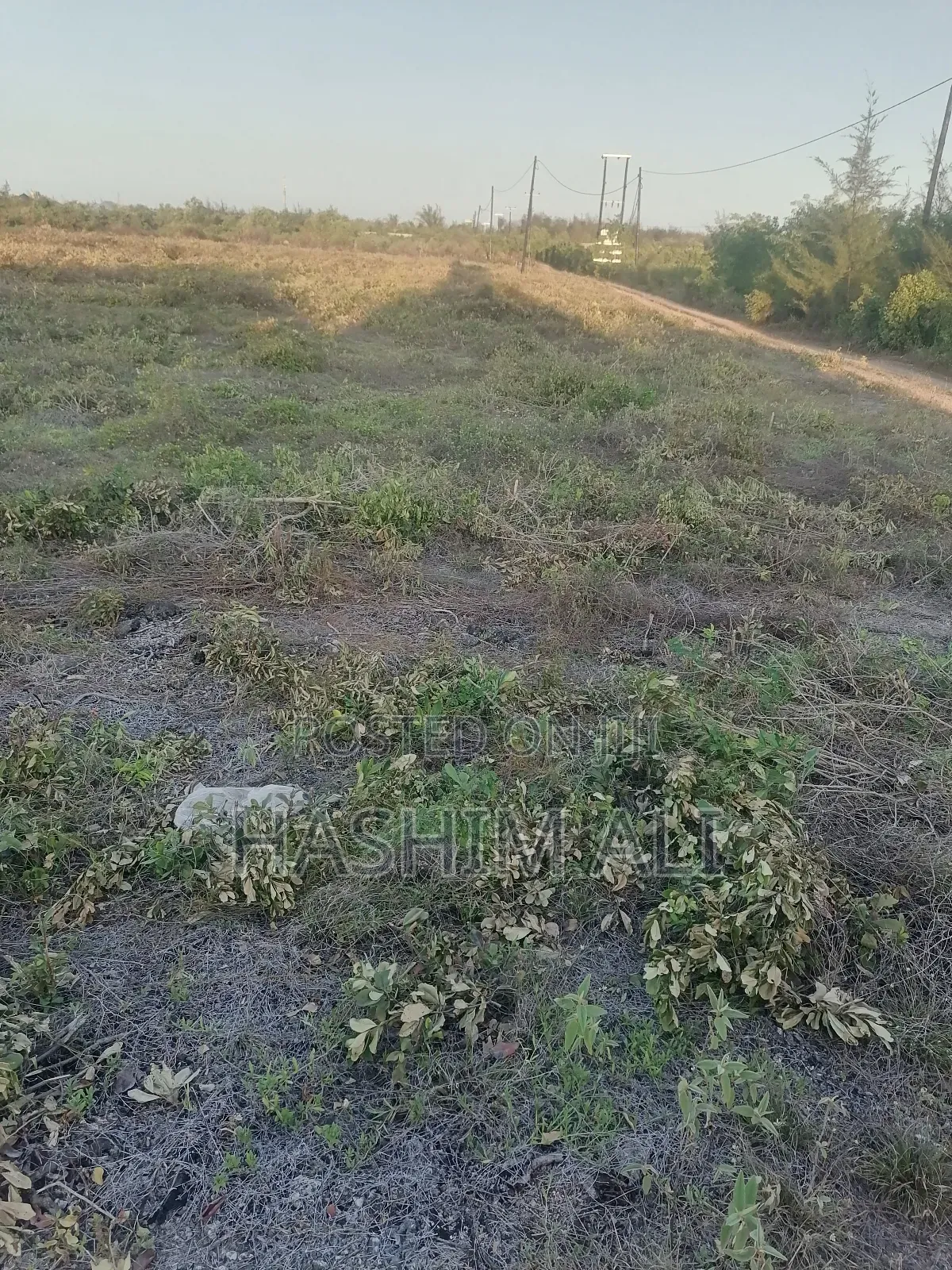 Land for Sale in Bwejuu Zanzibar