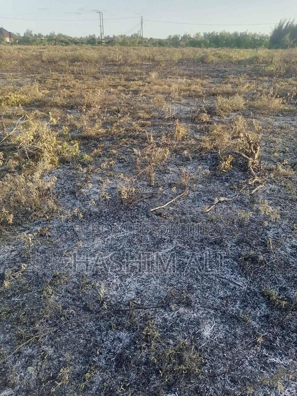 Land for Sale in Bwejuu Zanzibar