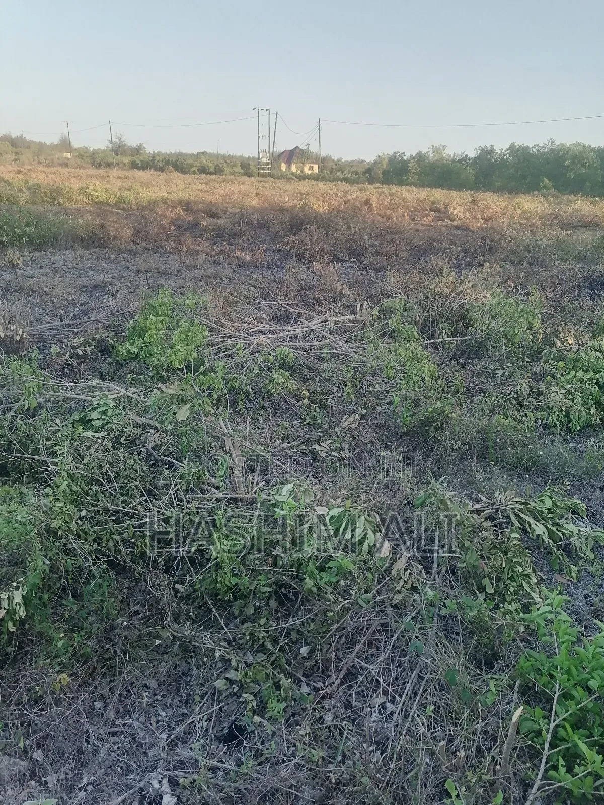 Land for Sale in Bwejuu Zanzibar