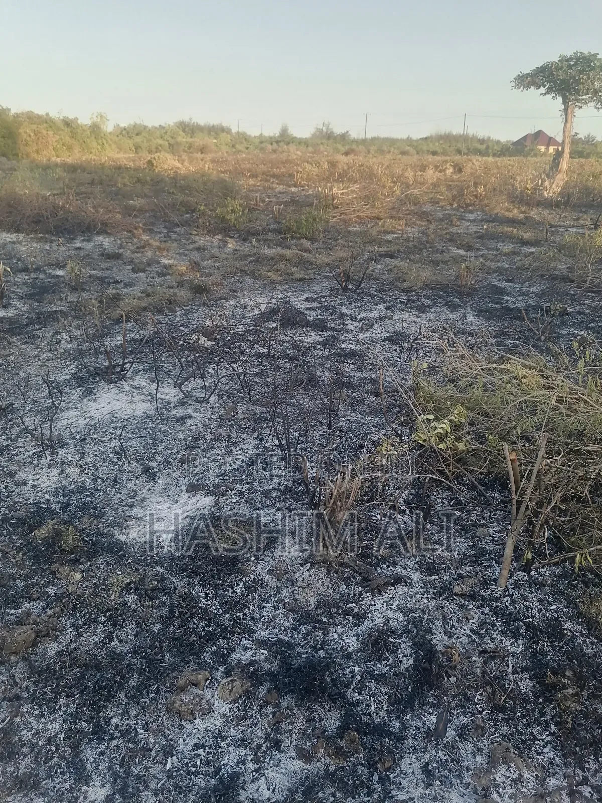 Land for Sale in Bwejuu Zanzibar
