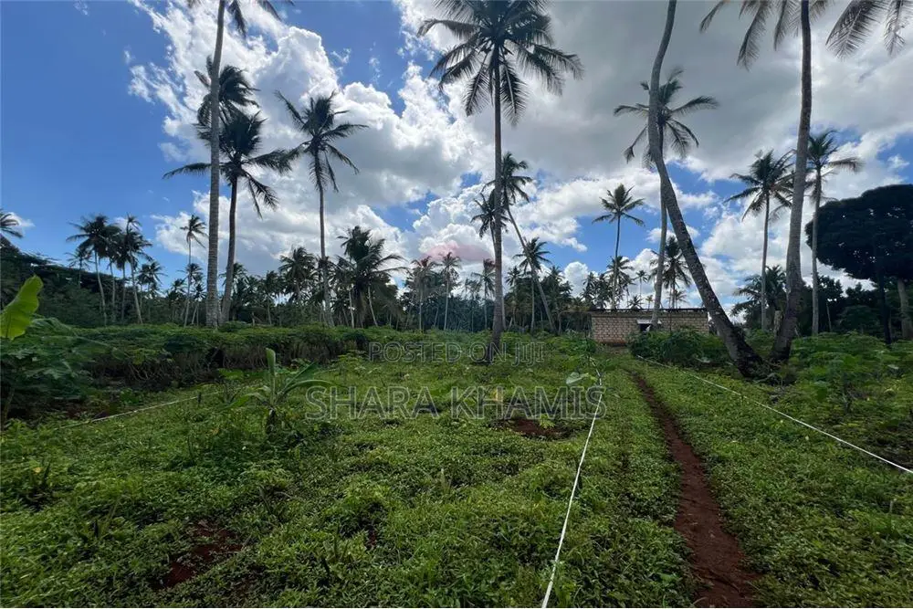Kiboje Farmland for Sale