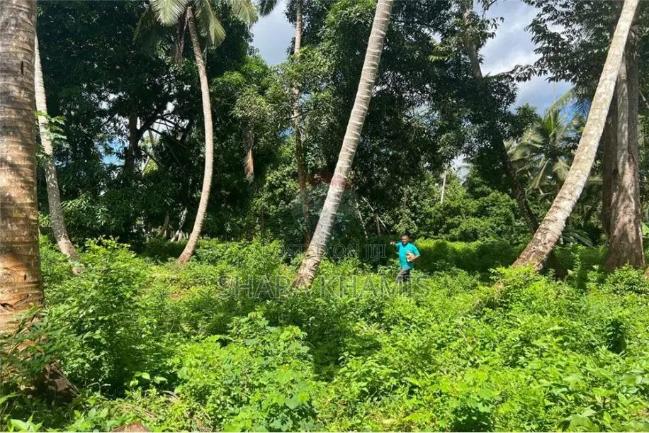 Kiboje Farmland for Sale