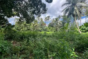 Kiboje Farmland for Sale