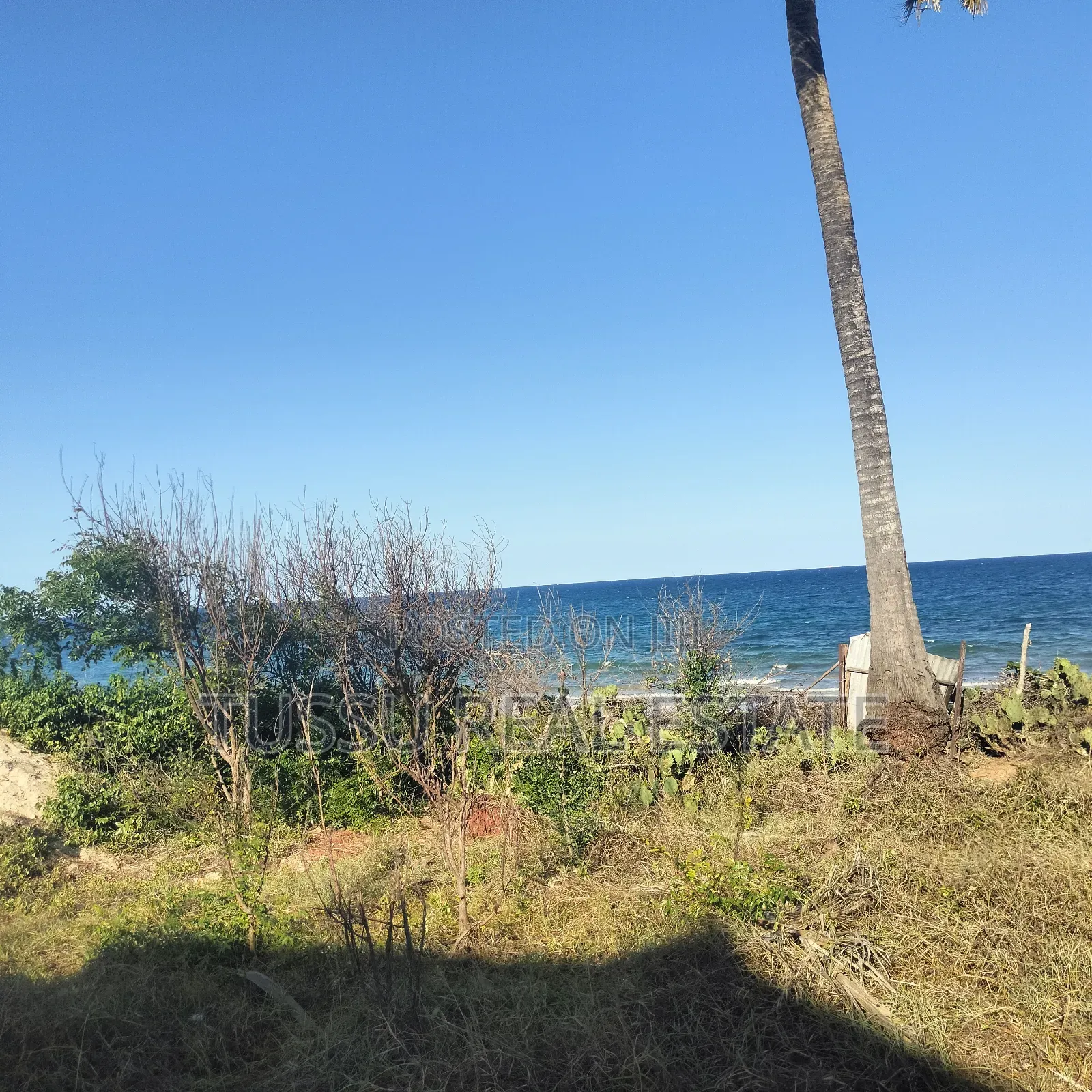 Beach Plot for Sale Bahari Beach DSM