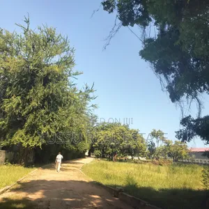 Beach Plot for Sale Mikochen Dsm(2.7acres)