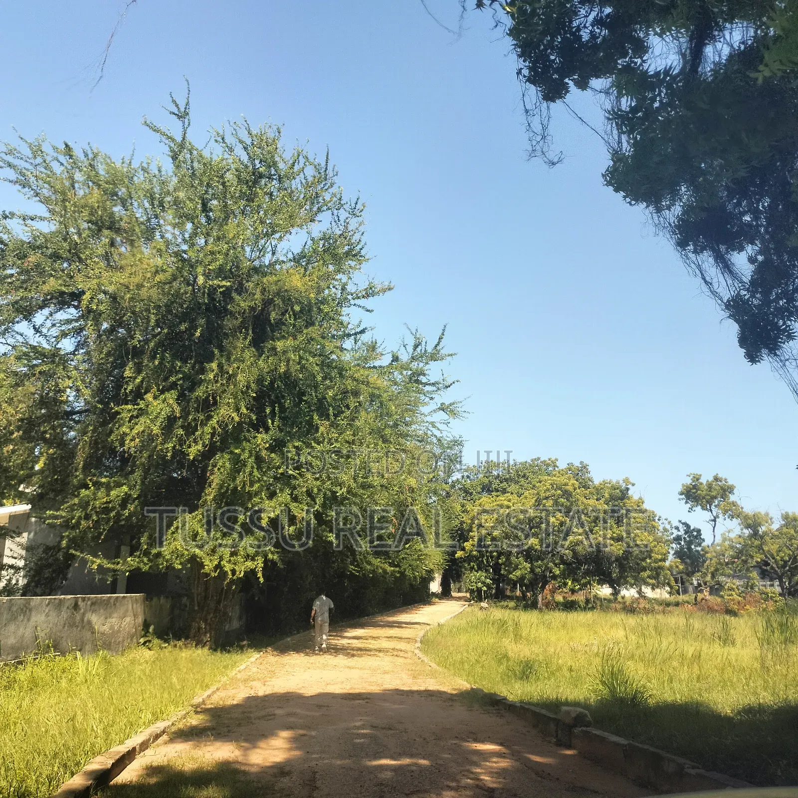 Beach Plot for Sale Mikochen Dsm(2.7acres)
