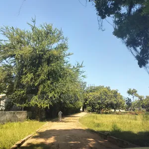 Beach Plot for Sale Mikochen Dsm(2.7acres)