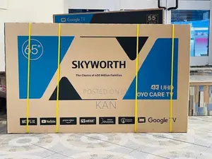 Skyworth 65 Inch Tv