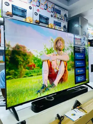 Skyworth 65 Inch Tv