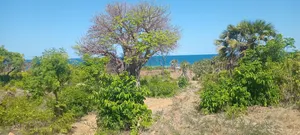 Beach Plot at Mbutu Kigamboni