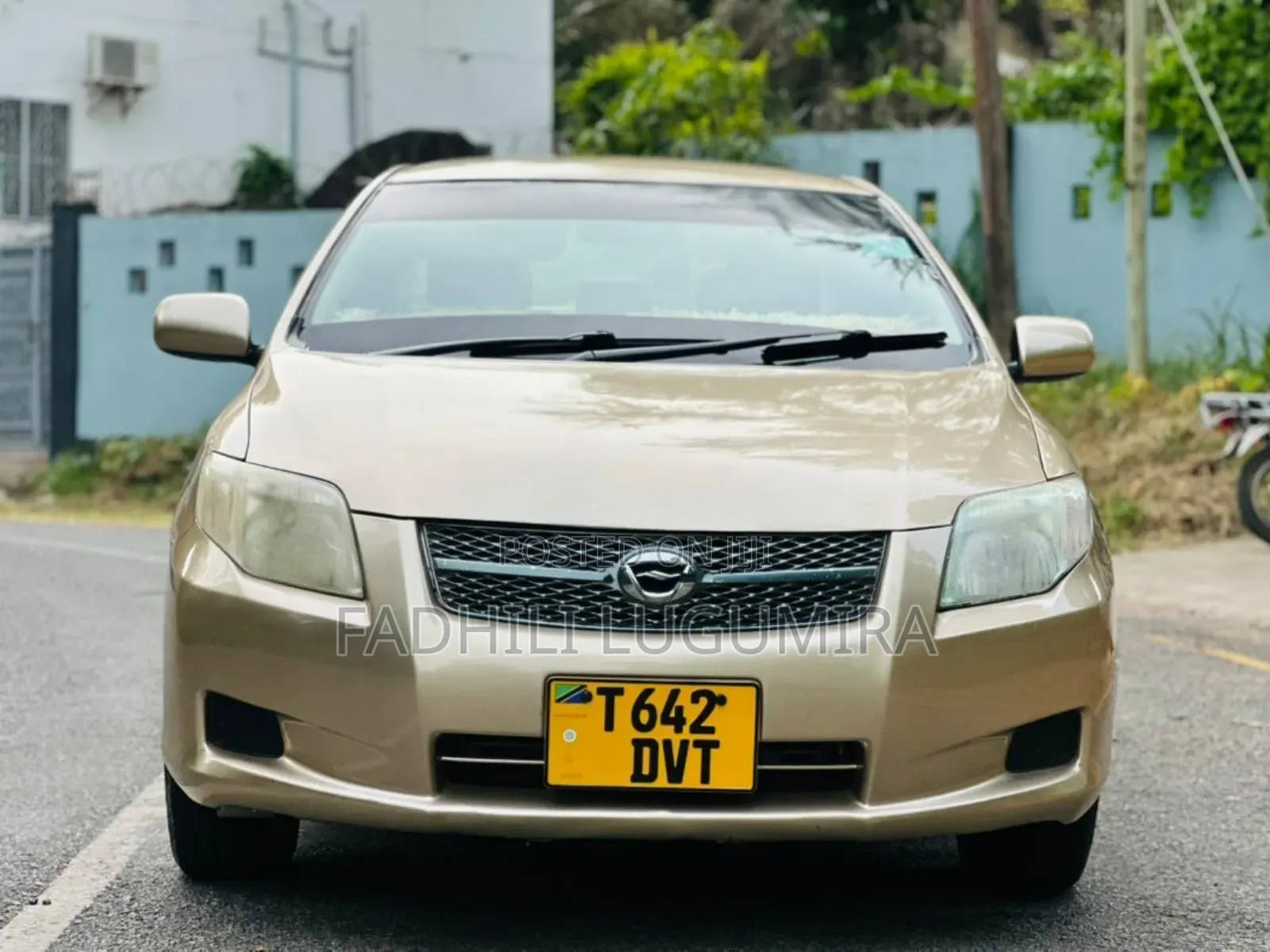 Toyota Axio 2007 Gold