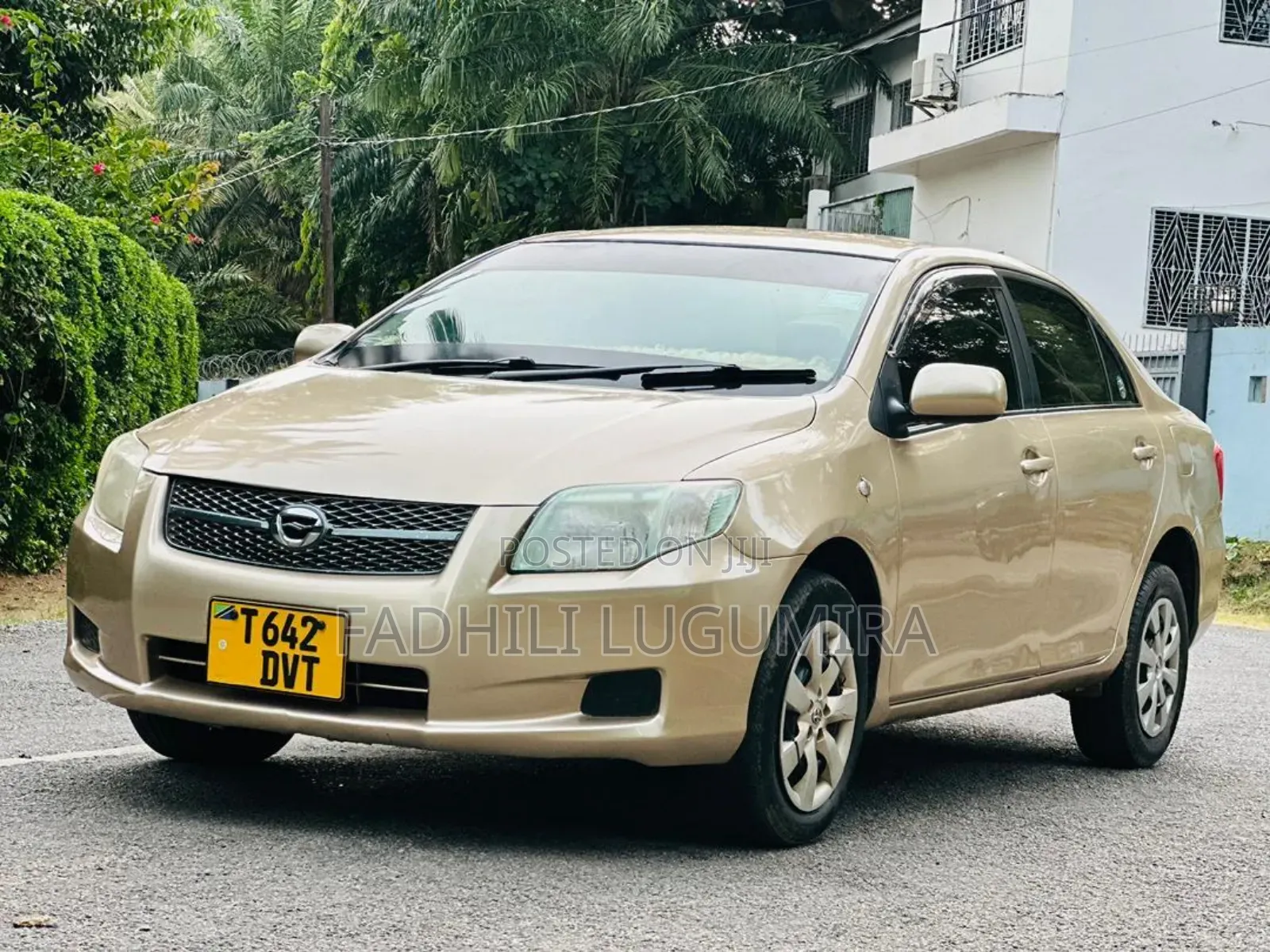 Toyota Axio 2007 Gold