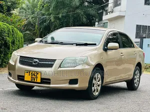 Toyota Axio 2007 Gold