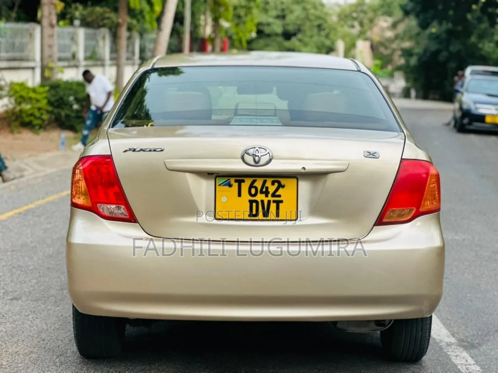 Toyota Axio 2007 Gold