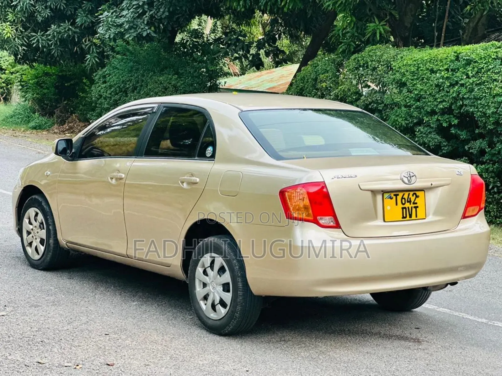 Toyota Axio 2007 Gold
