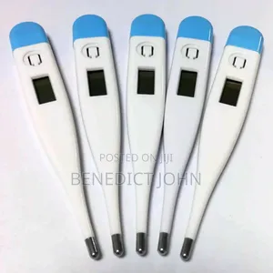 Digital Thermometers
